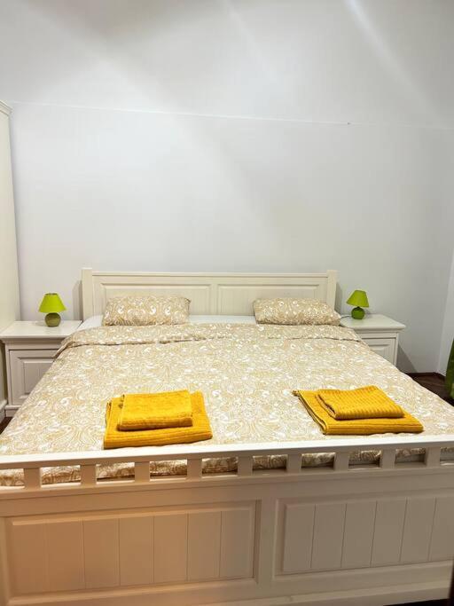 Apartamento Hidden Gem In The Old Town Timisoara Exterior foto